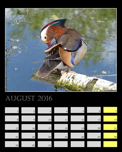 Naturkalender - Buvin-Verlag