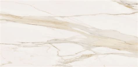 Calacutta Oro Six 12mm Matte Quantum Porcelain