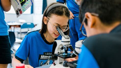 Aprendizaje Experiencial Teor A Y Beneficios Para Los Estudiantes