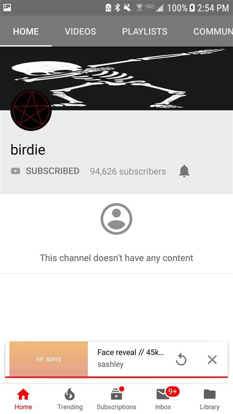 What Happened To Birdies Yt Birdie Amino