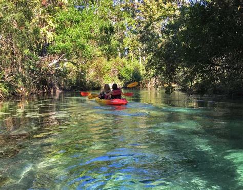 Weeki Wachee Springs State Park Kayaking Manatees Mermaids