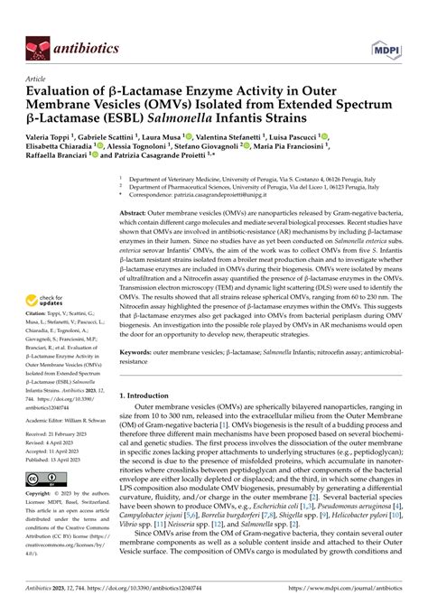 Pdf Evaluation Of β Lactamase Enzyme Activity In Outer Membrane