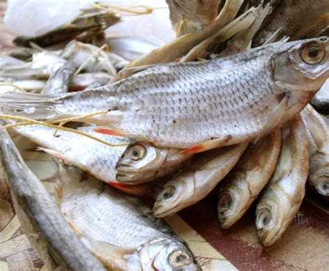 Рыба к пиву - выбираем лучший вариант закуски к пенному напитку