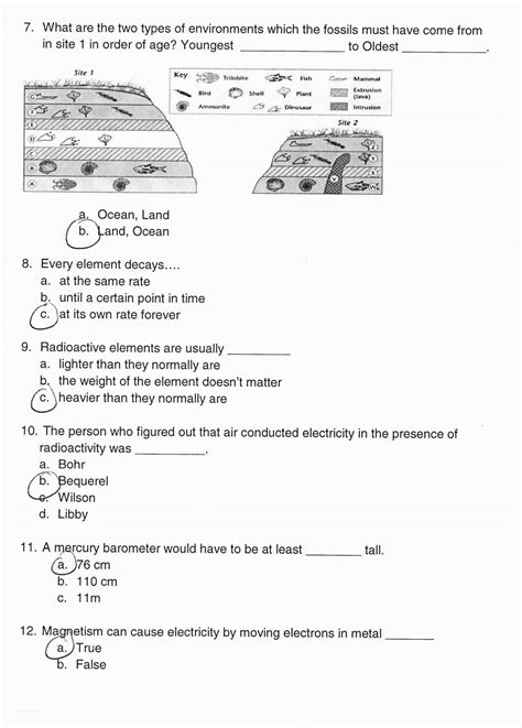 Relative Ages Of Rocks Worksheet Answers — Db