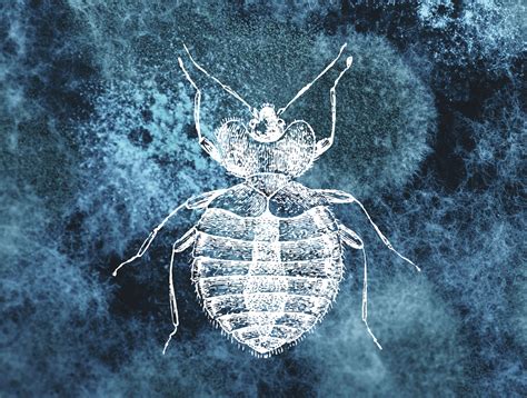 Dirty Sex The Role Of Bacteria In Sexual Selection