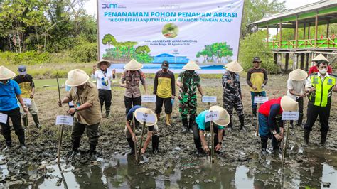 Pemkab Cegah Abrasi Di Kawasan Penyangga Bandara Ap Tanam Ribuan