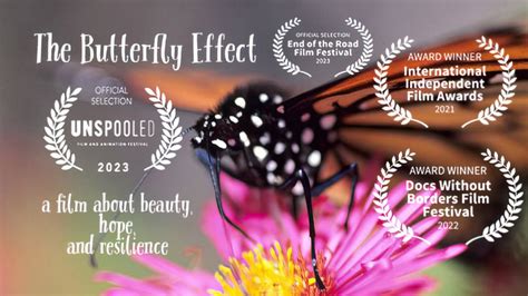 The Butterfly Effect Film Harvey Hall Theater Menomonie May