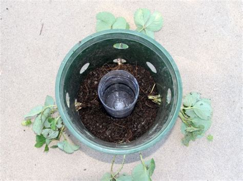 Diy Strawberry Tower With Reservoir Apiece Of Rainbow