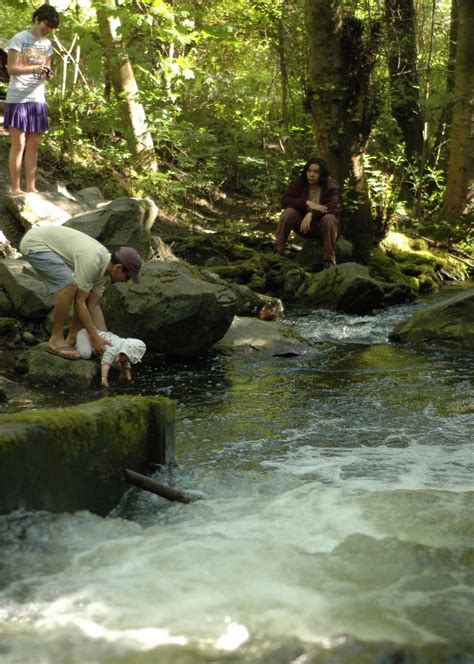 Happy Valley Neighborhood News Padden Creek Daylighting Project In