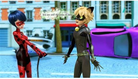 Adult Ladybug And Cat Noir Miraculous Amino