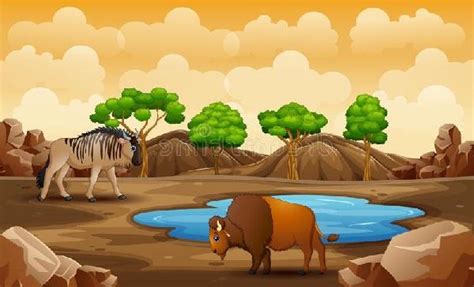 Ekosistem Darat Ciri Ciri Manfaat Komponen Macam Jenis Dan Contoh