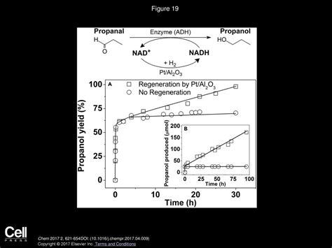 Cofactor Nadph Regeneration Inspired By Heterogeneous Pathways Ppt Download