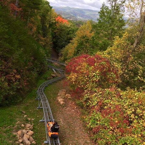 Smoky Mountain Alpine Coaster - Travel - Pigeon Forge - Pigeon Forge