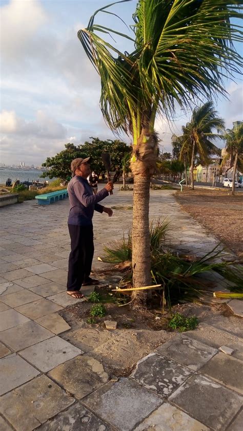 Manutenção Urbana promove conjunto de ações de conservação em Olinda