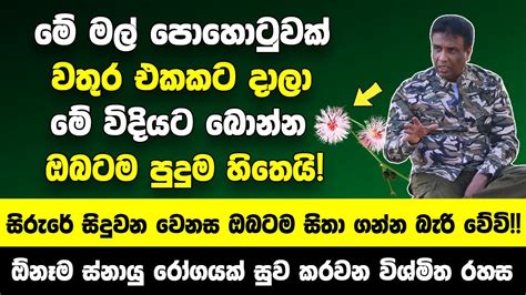 මෙන්න මේ මල් පොහොටුවක් වතුර එකකට දාලා බොන්න ඔබේ සිරුරේ සිදුවන වෙනස