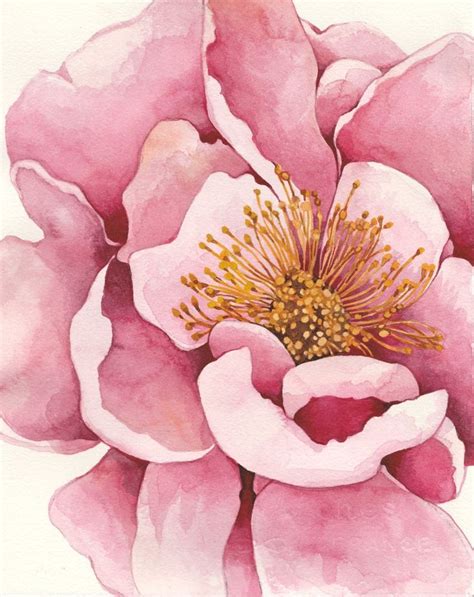 Rosa Pfingstrose Aquarell Original Gemälde Pfingstrose Malerei rosa