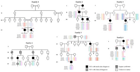 Genes Free Full Text One Nf1 Mutation May Conceal Another