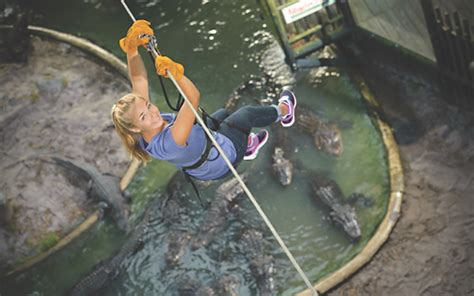 Zipline Over Alligators In Florida At St. Augustine Alligator Farm