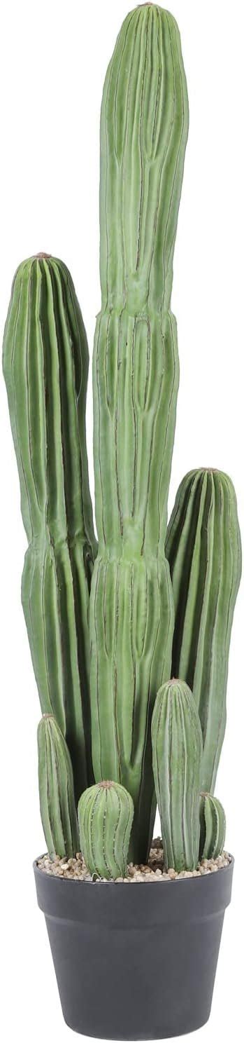 Artificial Cactus Fake Cacti Review Succulents Symphony