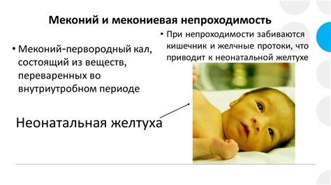 Муковисцидоз - презентация онлайн