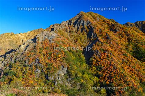 紅葉の那須岳登山 日本百名山の写真素材 238113966 イメージマート