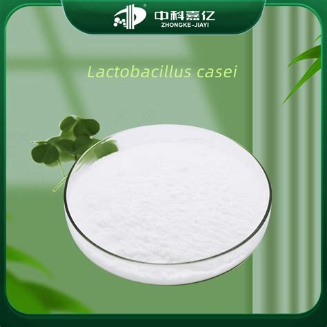 High Quality Food Grade Lactobacillus Casei Probiotics For Intestinal