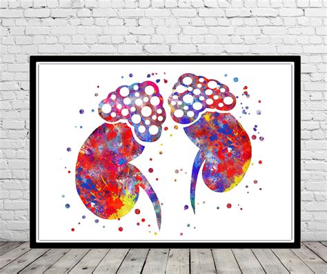 Pin on Anatomy Art / Medical Art / Science Art