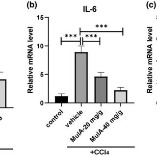 Mulberroside A Inhibits The Proinflammatory Cytokines Production In