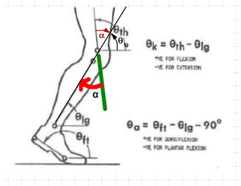 Applied Mechanics Polarity Of A Relative Angle Knee Joint Angle