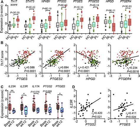 Pge 2 Signaling Positively Correlates With The Il 23 T H 17 Pathway In Download Scientific