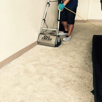 Oxi Fresh Carpet Cleaning 28 Photos 11 Reviews Carpet Cleaning