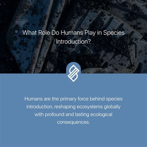 Endemic Species → Term