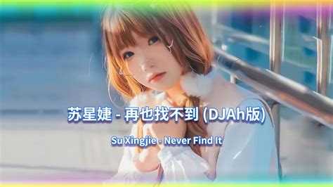 再也找不到DJ DJAh完整版 Remix Tiktok Never Find It Hot Tiktok Douyin YouTube Music