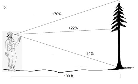 Summary Questions Forest Measurements