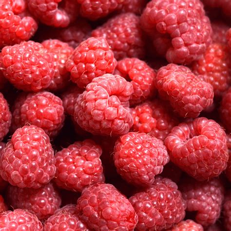 Framboises Bio 125g Livraison Retrait Sur Bordeaux