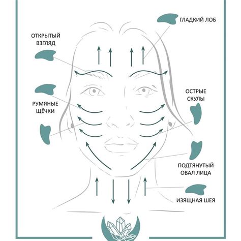 Массаж гуаша/massage gua sha | Упражнения для лица, Лицо, Массаж