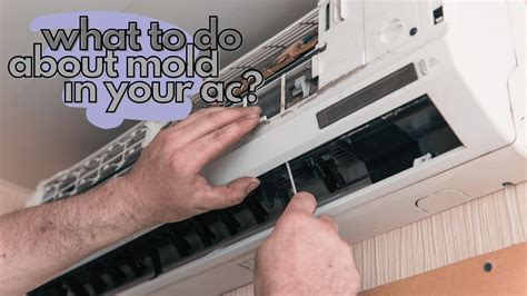 5 Things To Do If You Find Black Mold In Your Air Conditioner Home Improvement Cents