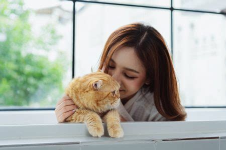 Gato Bonito Feliz Brincalh O Em Uma Casa Amizade De Animais De