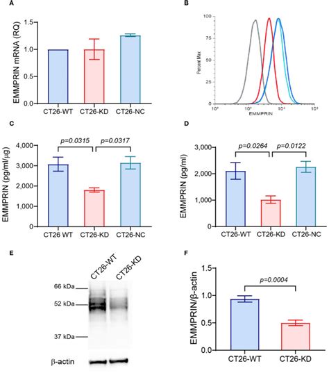 Ct26 Cell Line ATCC Bioz