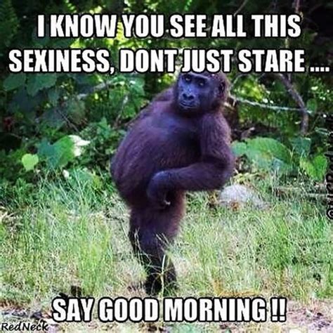 Funny Good Morning Memes Thrifty Nifty Mommy Funny Morning Memes