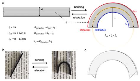 Elastic Organic Crystals Of Conjugated Molecules New Concept For