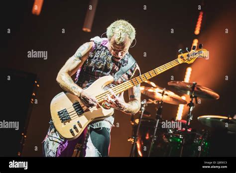 Zurich Hallenstadion October Th Flea Bassist Of The American Funk Rock Band Red Hot