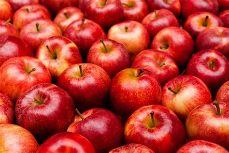 10 Impressive Health Benefits Of Apples The Power Of This Nutritious Fruit Web