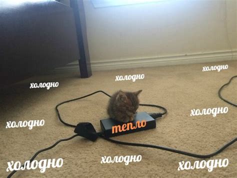 Холодно - Тепло - Мемы