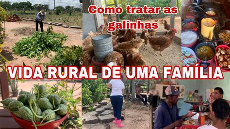 Vida Rural De Uma Fam Lia Tivemos Que Arrancar A Planta Manejo Das