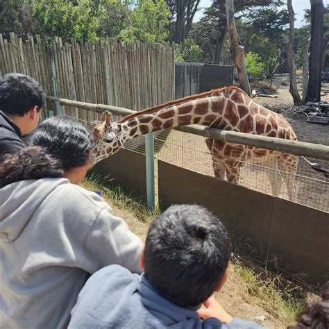 San Francisco Zoo Tickets San Francisco