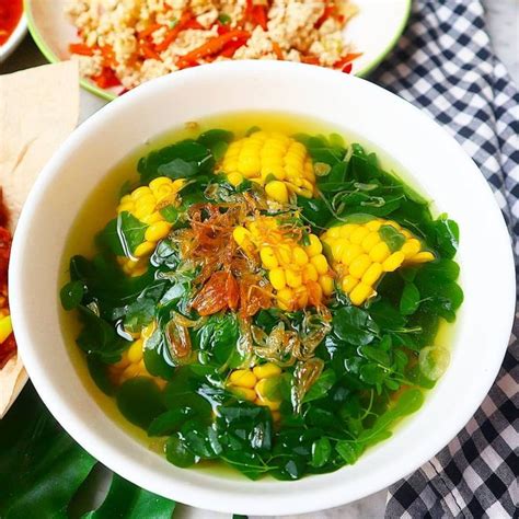 Resep Olahan Daun Kelor Mudah Dibuat Kaya Nutrisi Penting Bantu Lawan