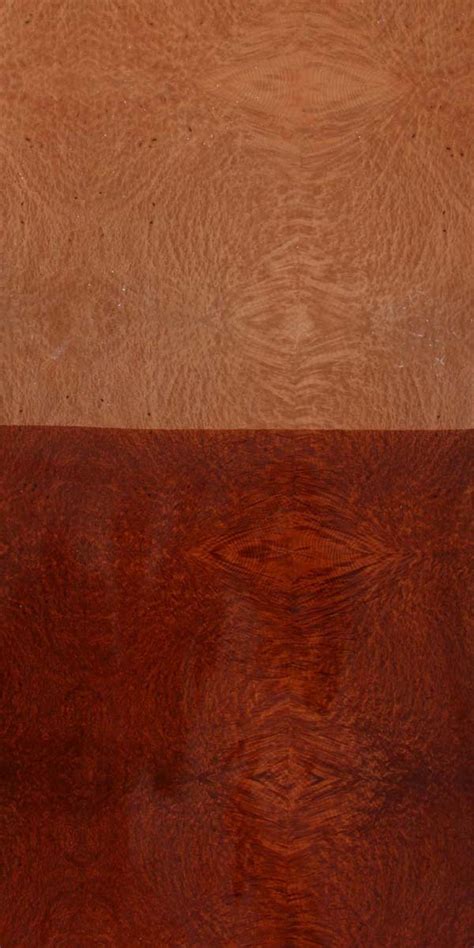 Find Vavona Burl Natural Wood Veneer In India Decowood Veneers