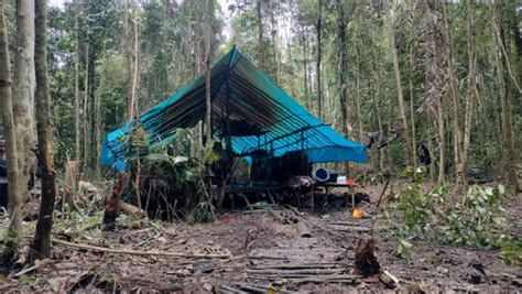 Kontak Tembak Pecah Di Yahukimo 2 Anggota KKB Tewas 1 Brimob Terluka