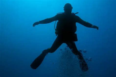 Two Types Of Diver Down Flags And How They Look Like Diving Lore